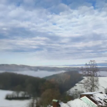 Rothenberg *