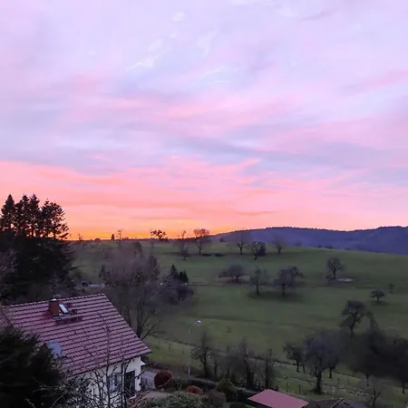 Rothenberg * 오버젠트