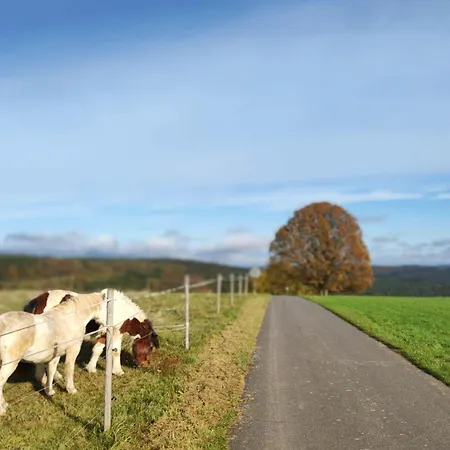 Apartment Rothenberg
