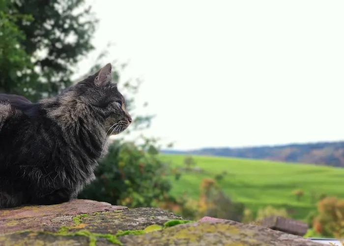 Rothenberg Apartment
