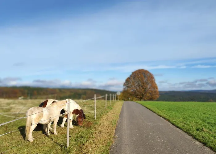Apartment Rothenberg